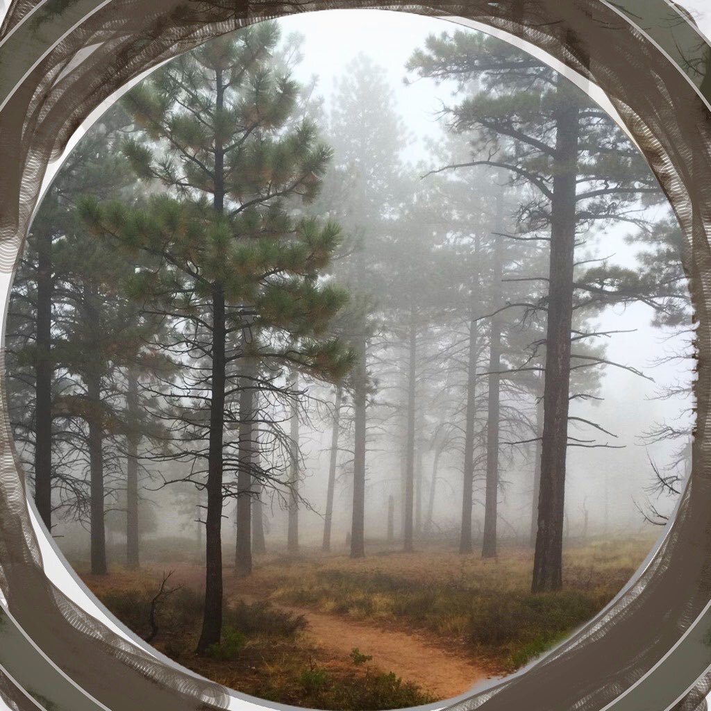 “What guides the wanderer on his path is his inner truth.” 
-- The Cosmic Way, Hexagram 56 The Wanderer
* * *
Inner truth is an embodied knowing. Inner truth resonates. It is accompanied in our body with sensations, a felt sense, that