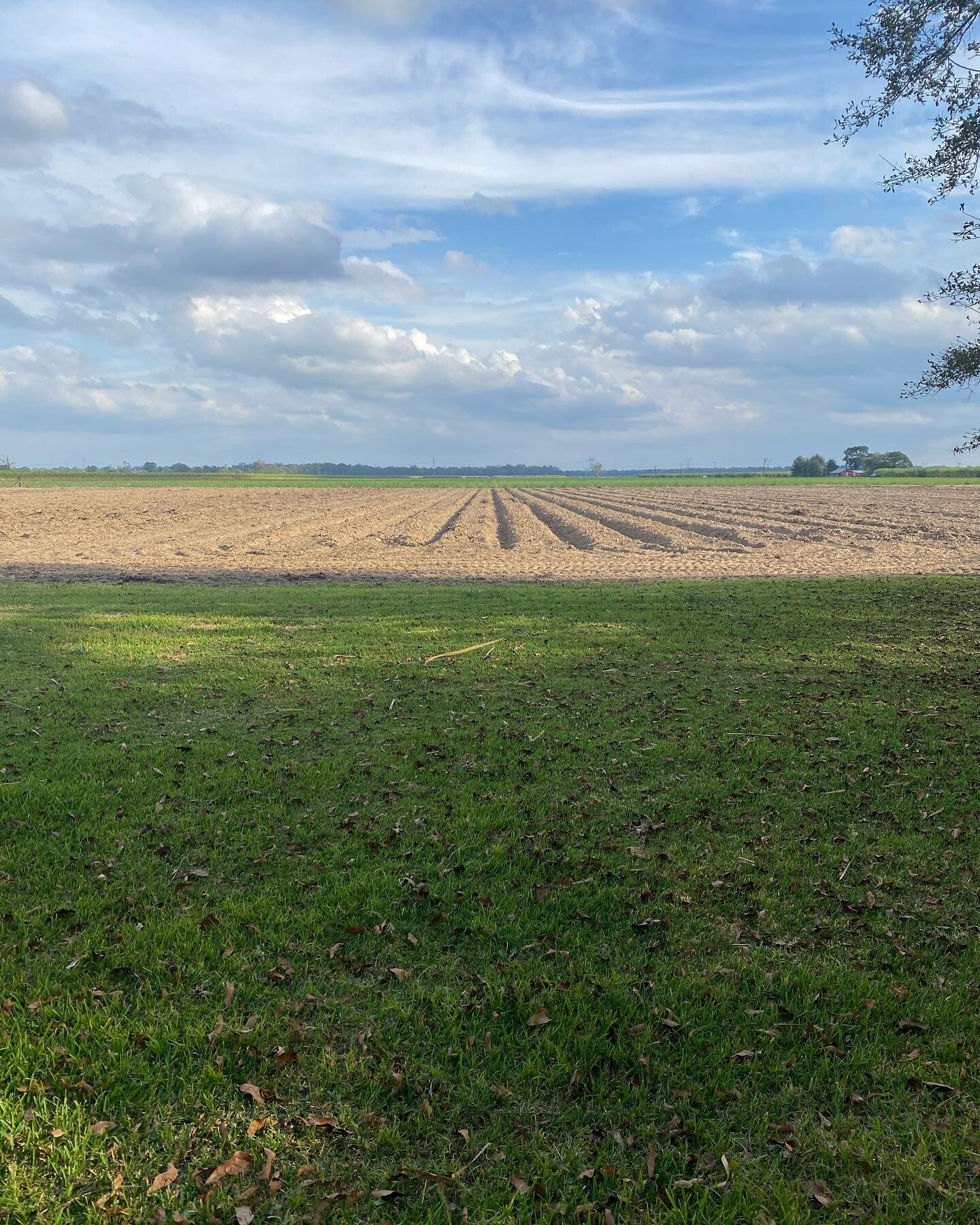 There was some clarity before the storm. There was some perspective. There were shadows and illumination.
⚪️🦋⚫️
#thisiswhatisaw #storm #transformation #see #witness #presence #landscape #contemplation #light #shadow #existential #awanderersway #fa