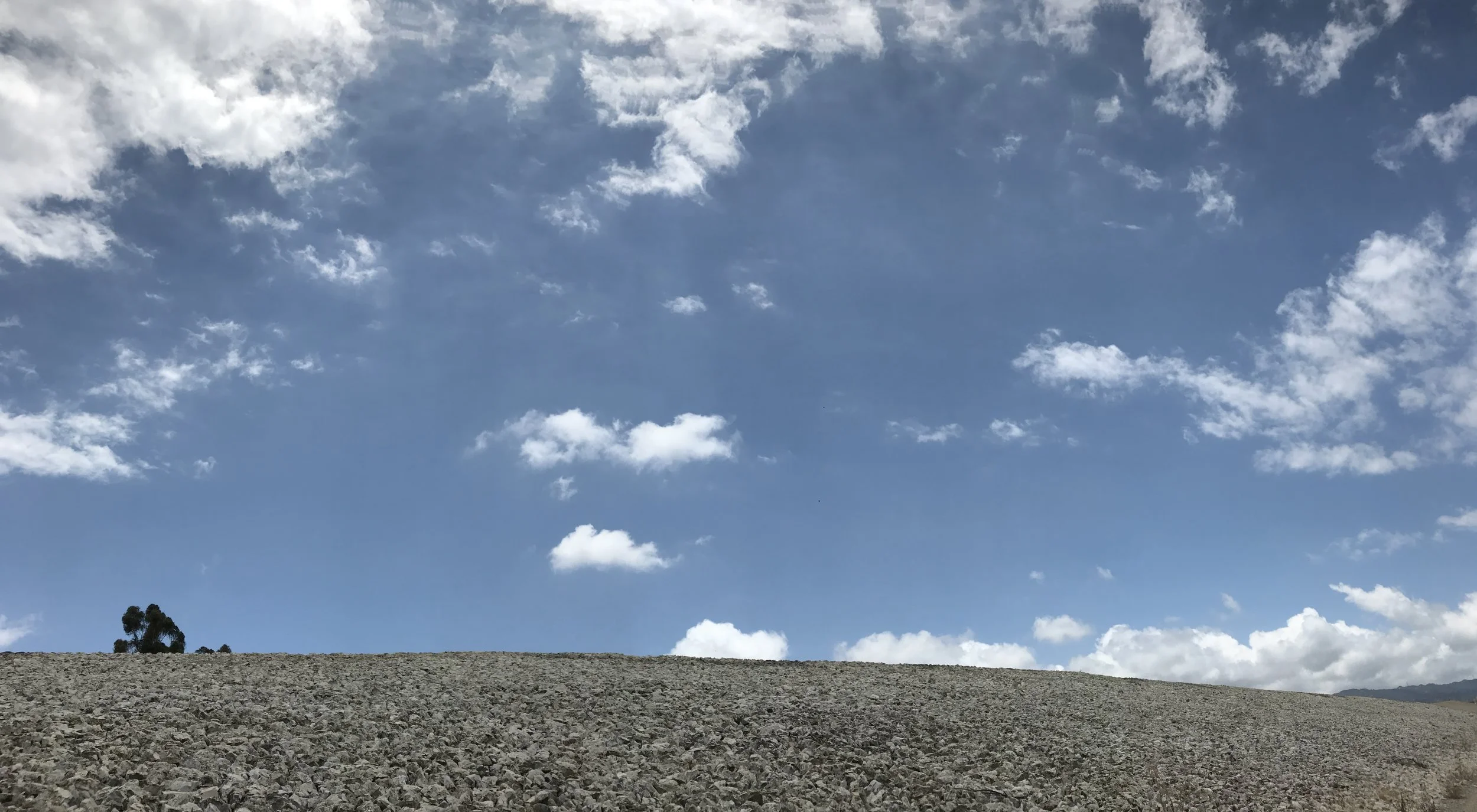 Dream Guidance for Being with Uncertainty