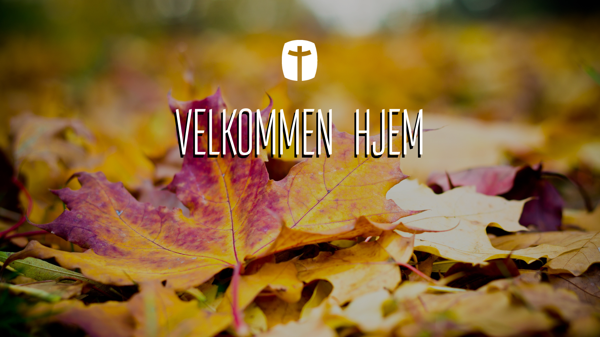 Velkommen Hjem (7).png