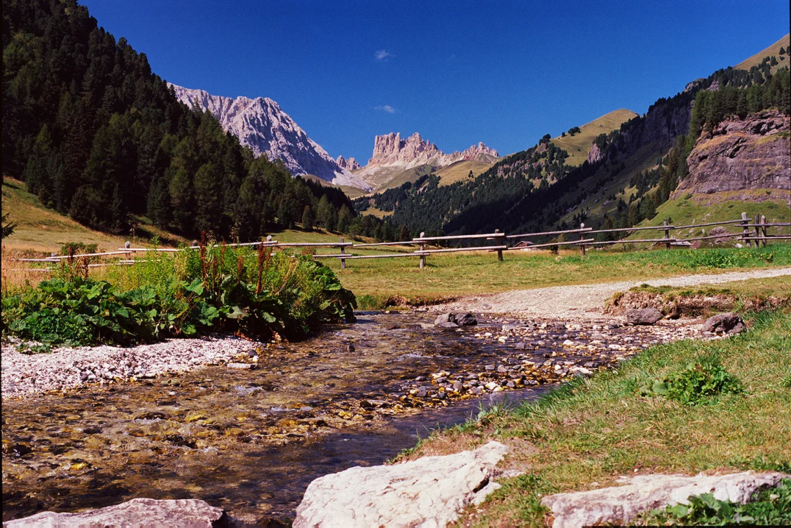 Michele Loda _KODAK EKTAR_10 copia.jpg