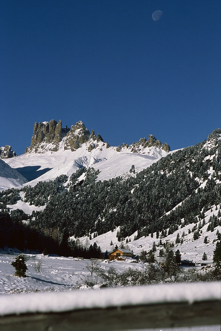 Michele Loda_DIA TELAIO_02 copia.jpg