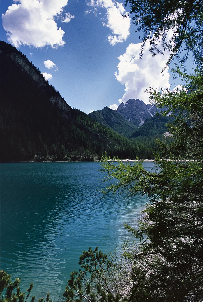 Michele Loda_DIA TELAIO_06 copia.jpg