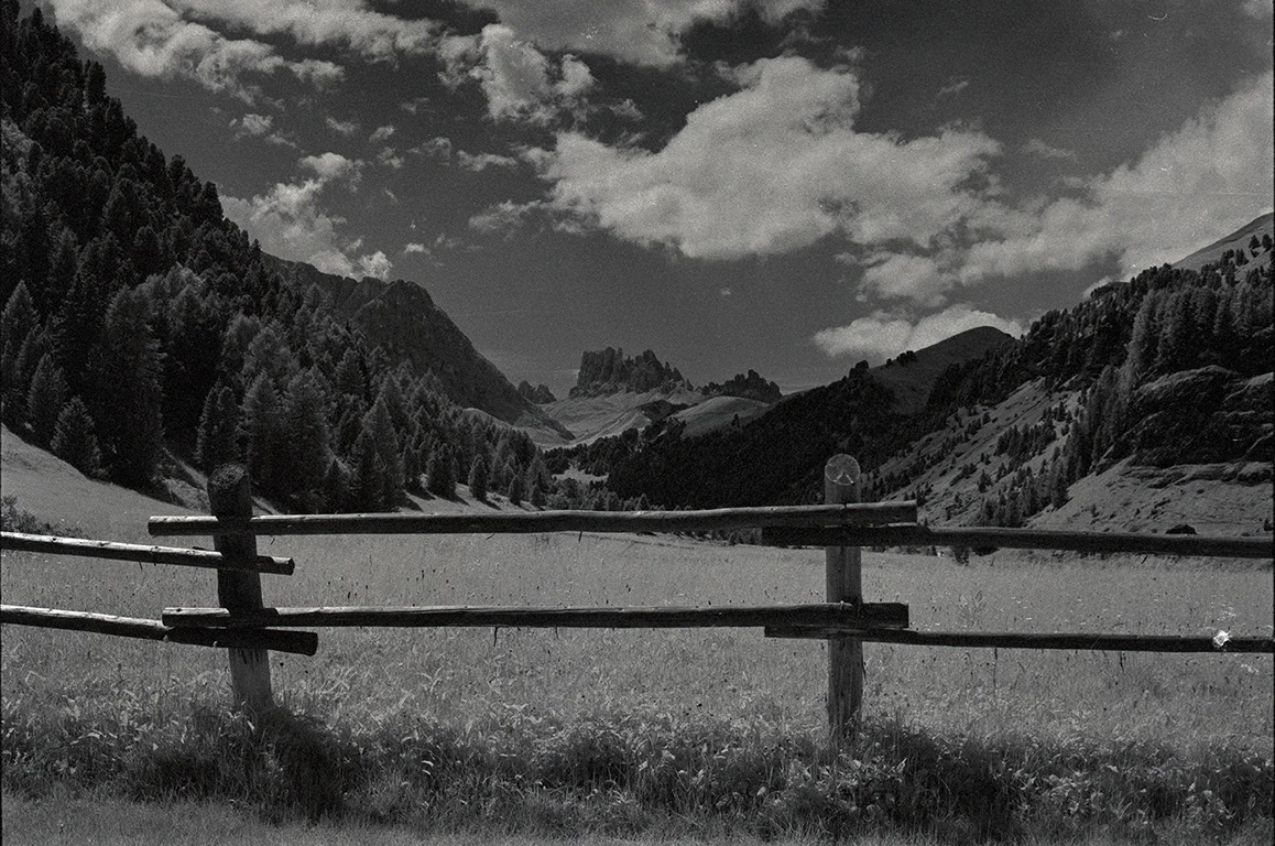 Michele Loda_Rollei Infrared_14 copia.jpg