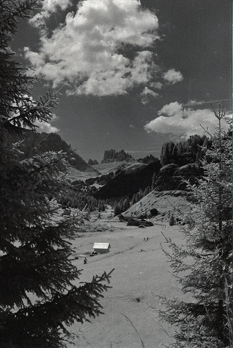 Michele Loda_Rollei Infrared_17 copia.jpg