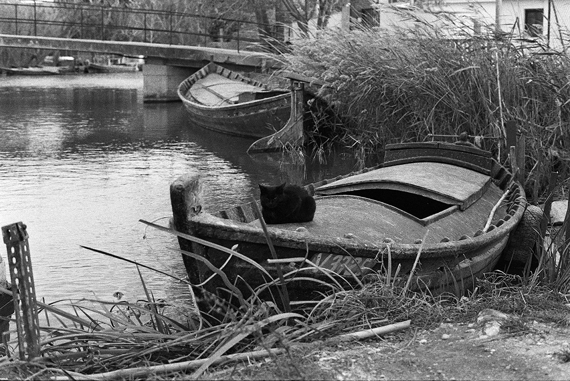 Michele Loda_Ilford HP5_19 copia.jpg