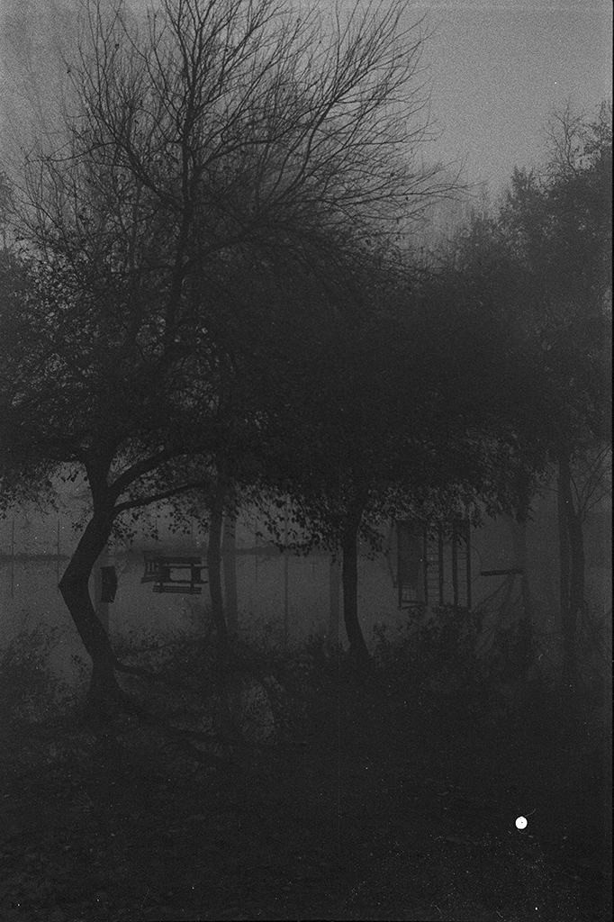 Michele Loda_Ilford HP5 Plus_05 copia.jpg