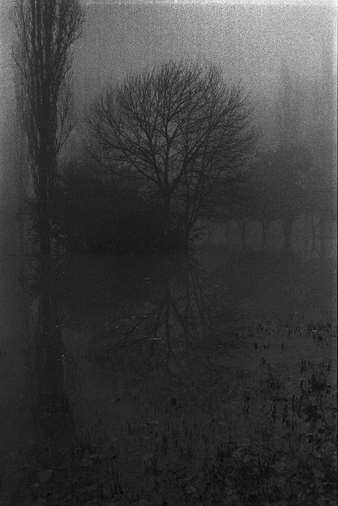 Michele Loda_Ilford HP5 Plus_19A copia.jpg