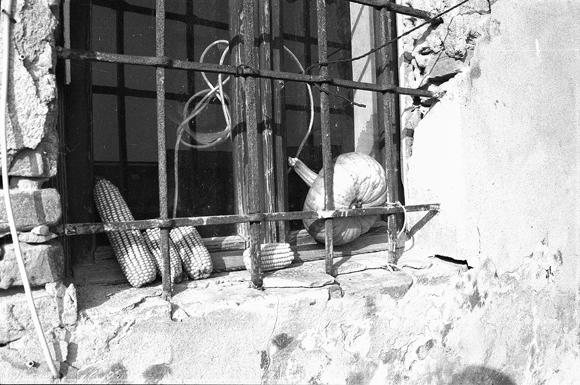 Michele Loda_KODAK 400CN_24a copia.jpg
