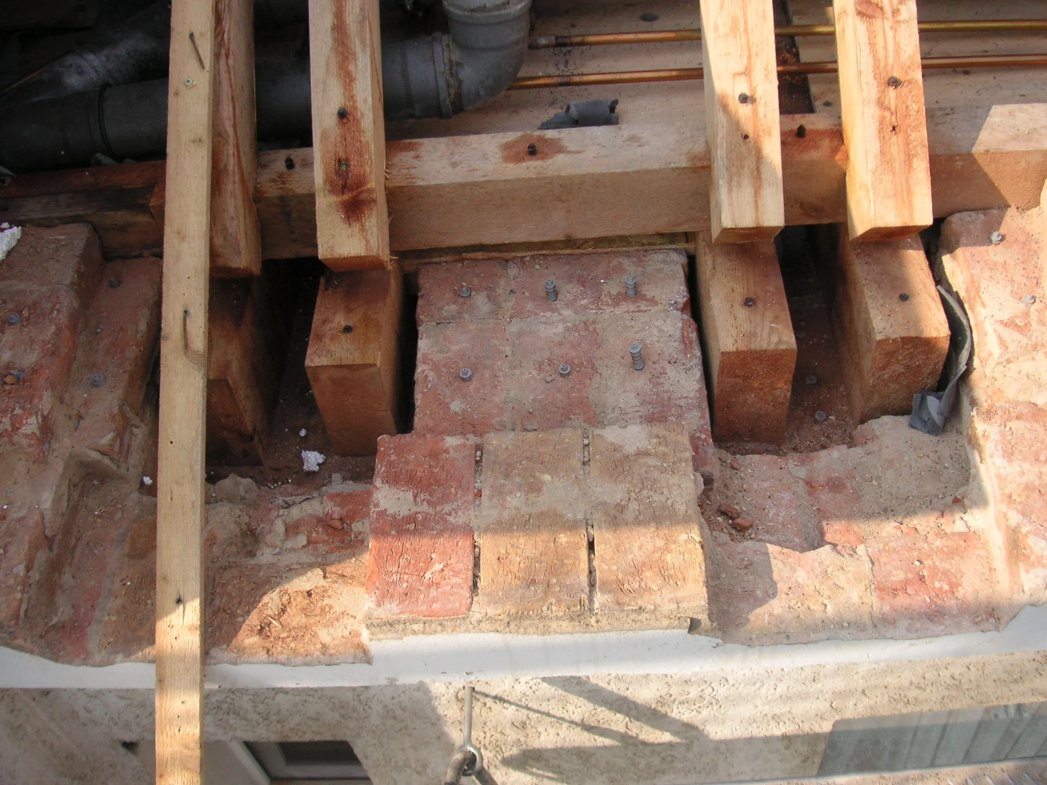 Hausschwamm Beseitigung 