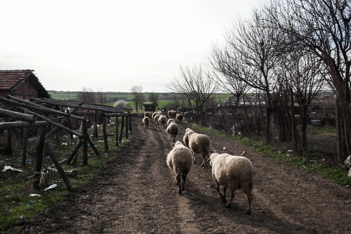 Invisible route, Bulgaria-21.jpg