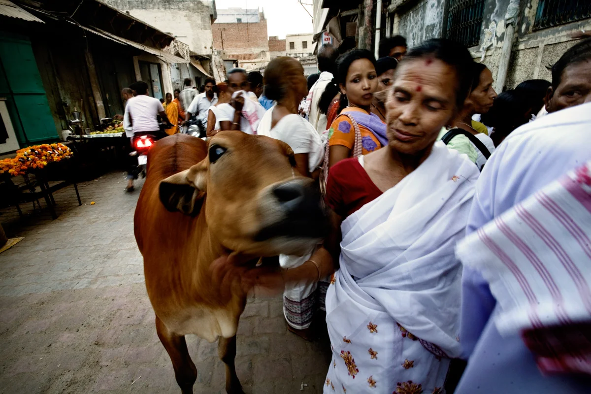 LE VEDOVE DI VRINDAVAN-21.jpg