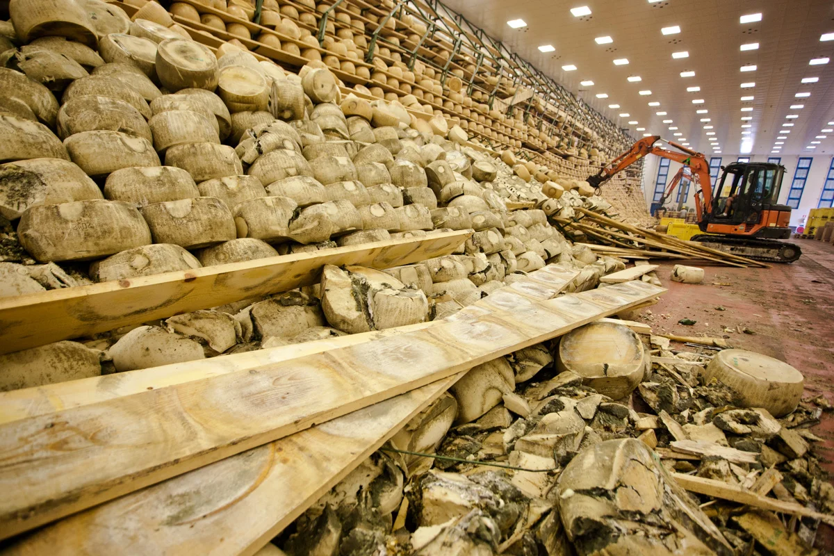 Terremoto Emilia. Famiglia Casumaro-6.jpg