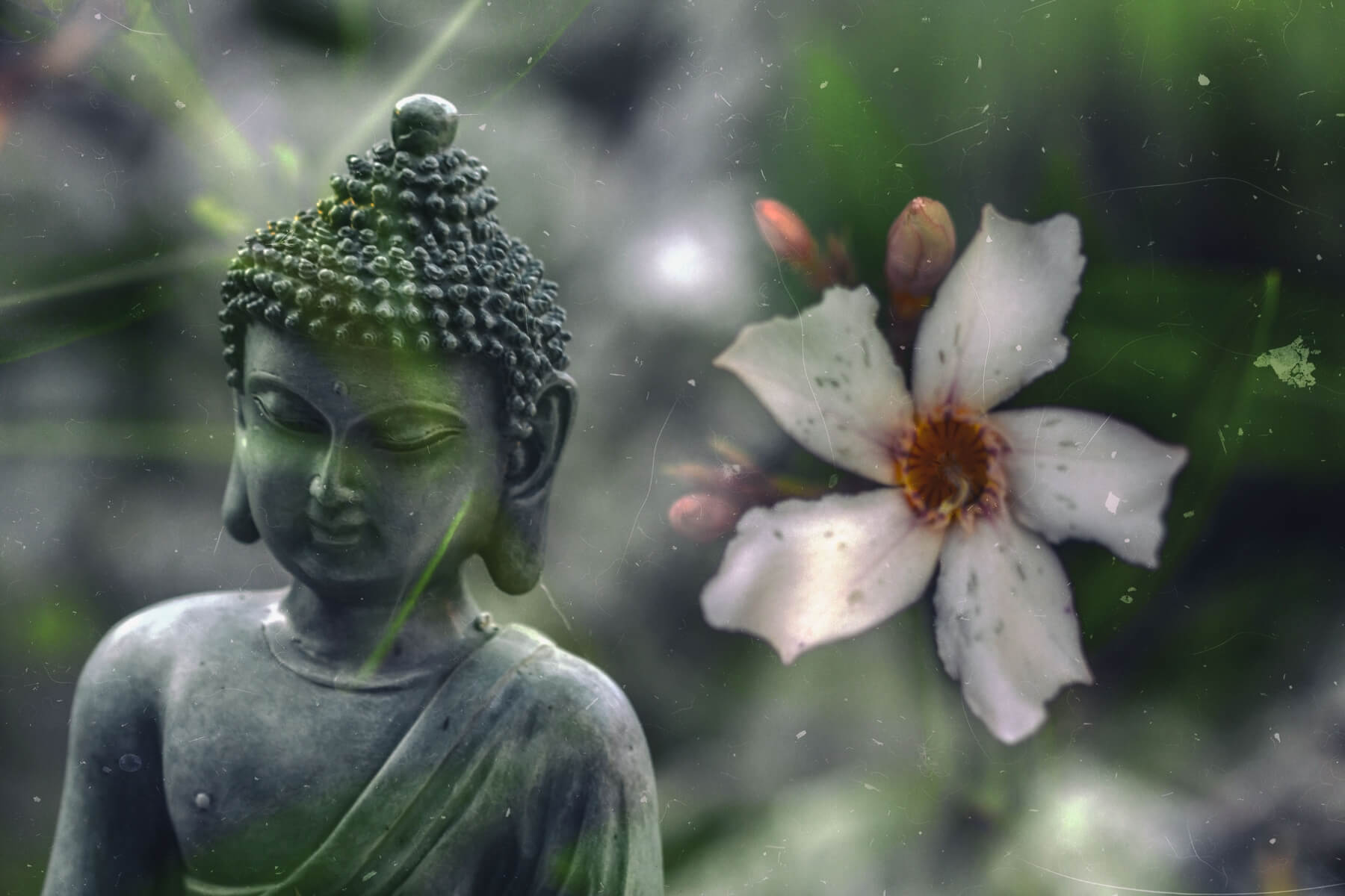 BuddhaHero2-5-Elements-Hot-Yoga-Resort-Phuket.jpg
