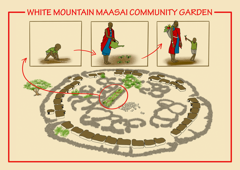 Illustration for grassroots community garden proposal in Kenyan Maasai community during COVID-19 crisis