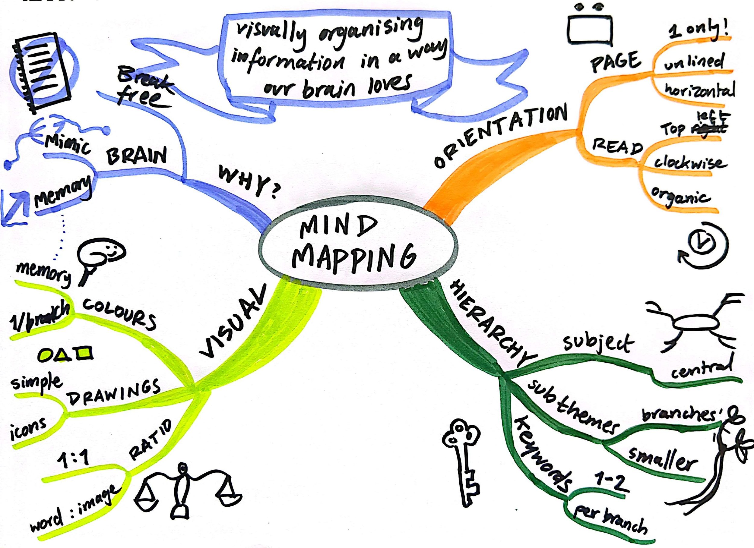 NICCY mindmap.jpg