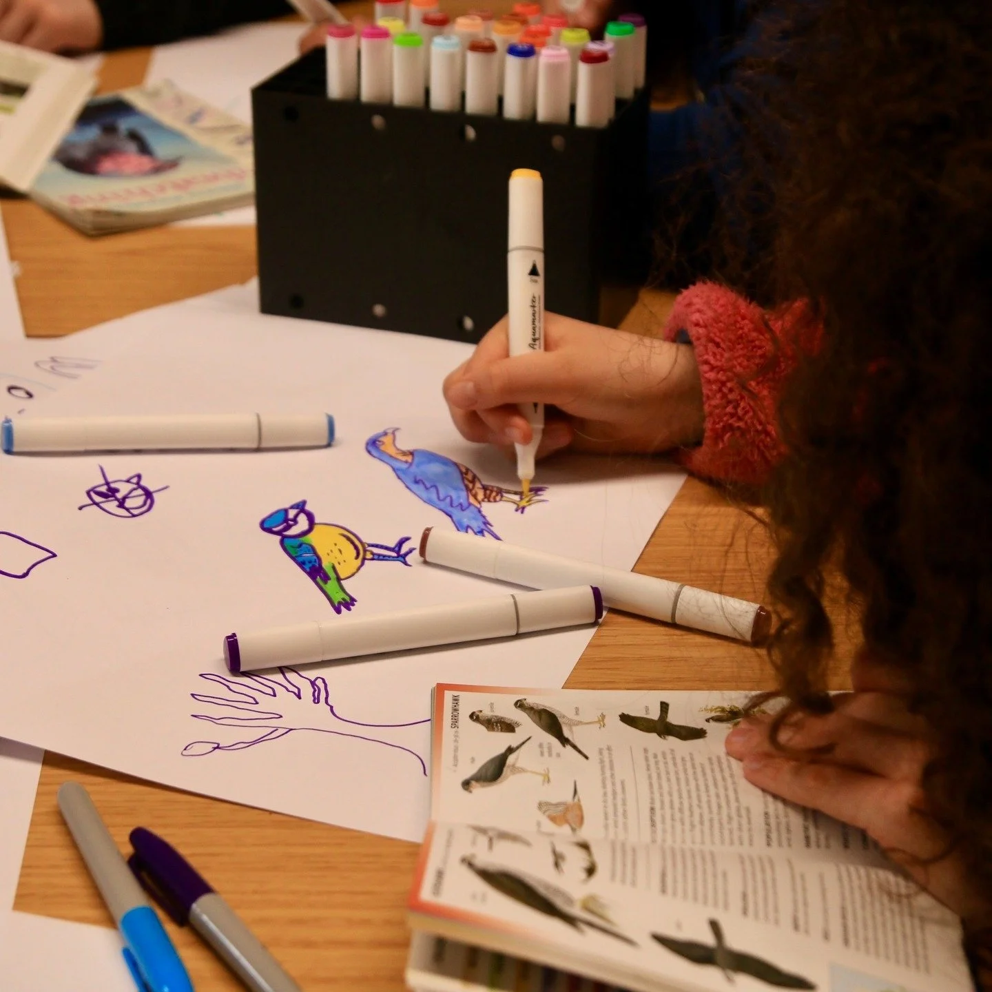 A few weeks ago I was back to support personal favourite of mine - @btobirds Bird Camp!

As a bird nerd myself, this event is a total highlight for me every year that I get to join. For the third time, my contribution to Bird Camp was a bird drawing 