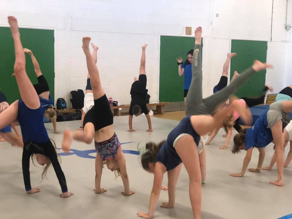 Gymnastics Mentoring