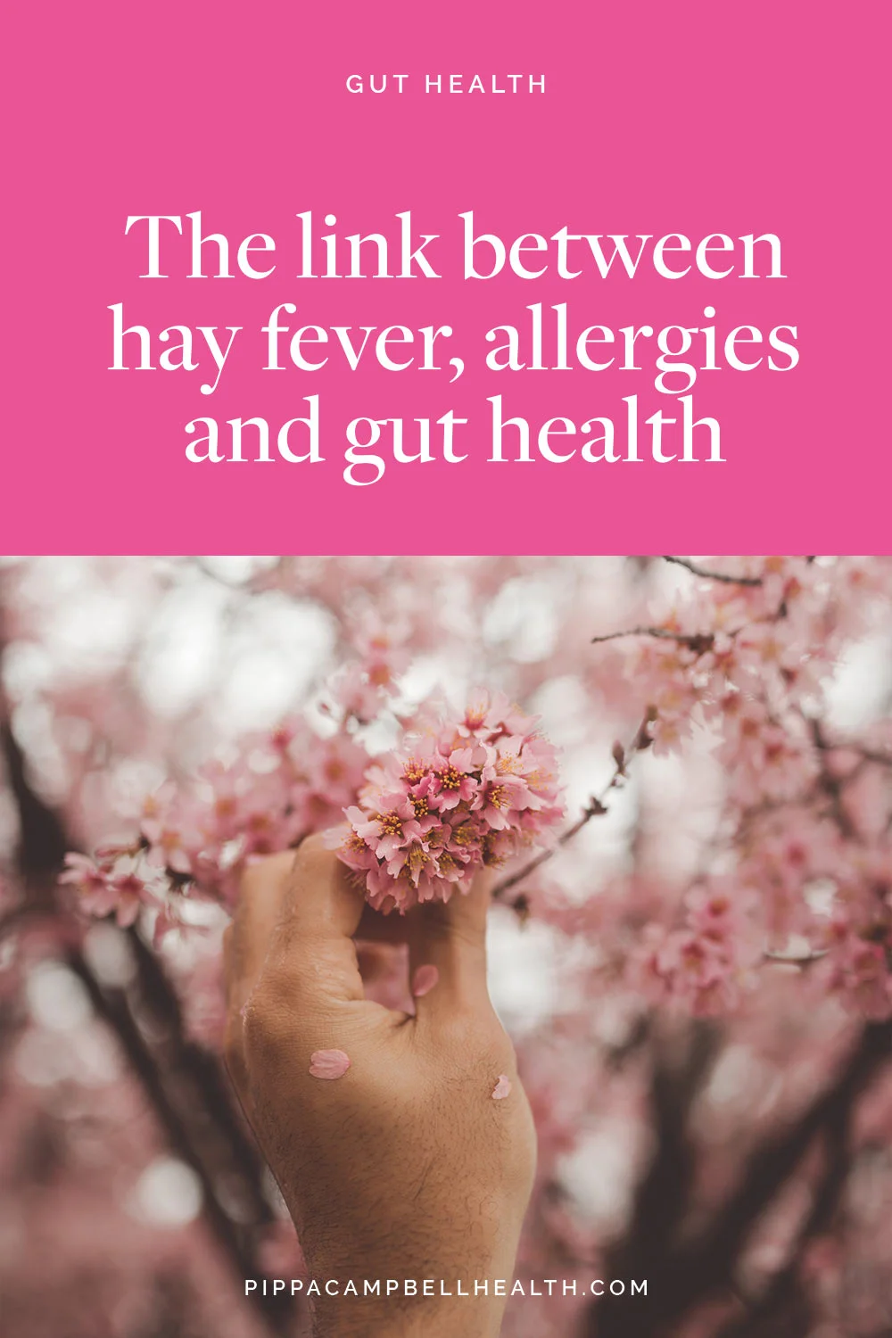 The link between hay fever, allergies and gut health