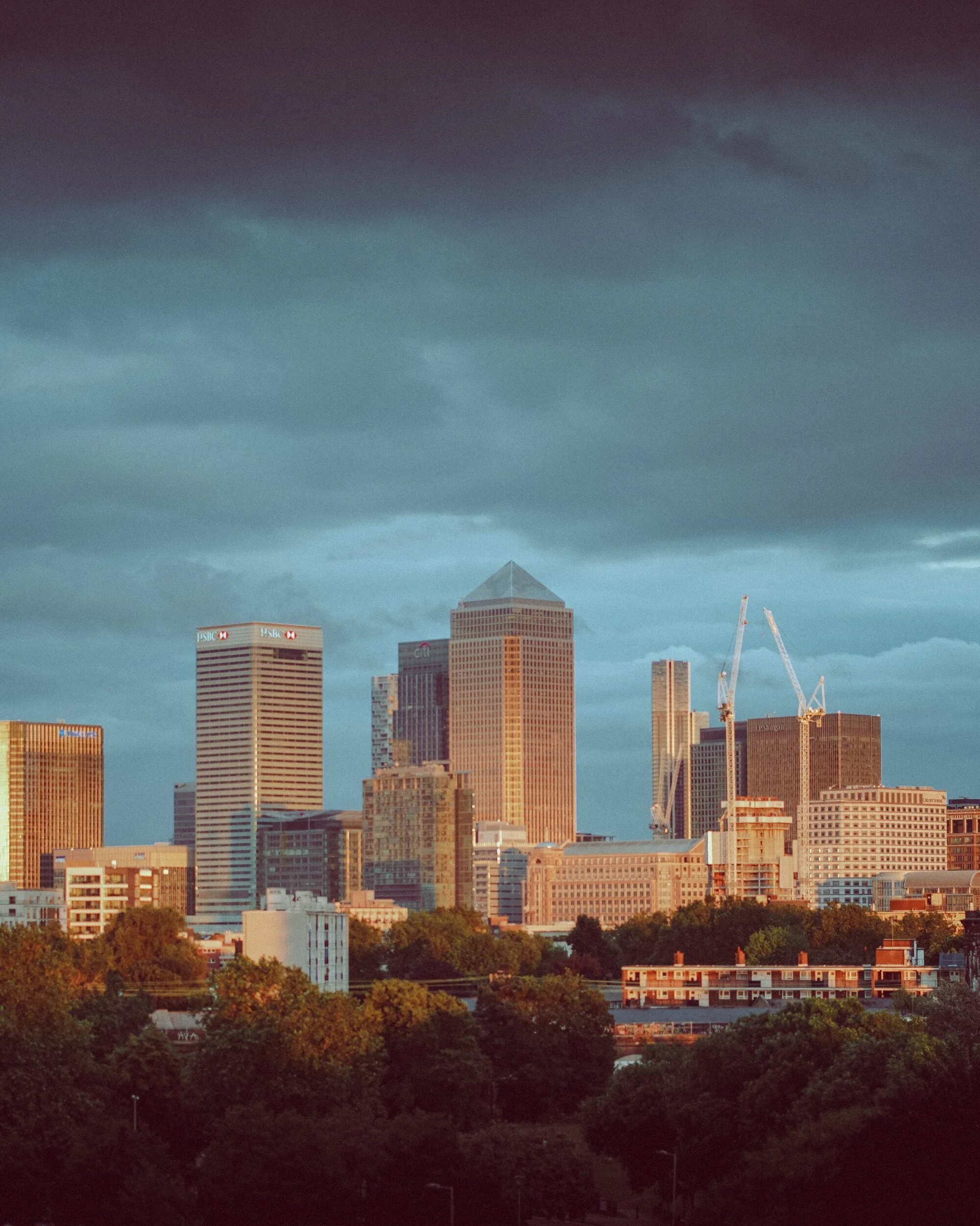 80D329D1-E6BA-42C9-AB34-C52F54E2949A