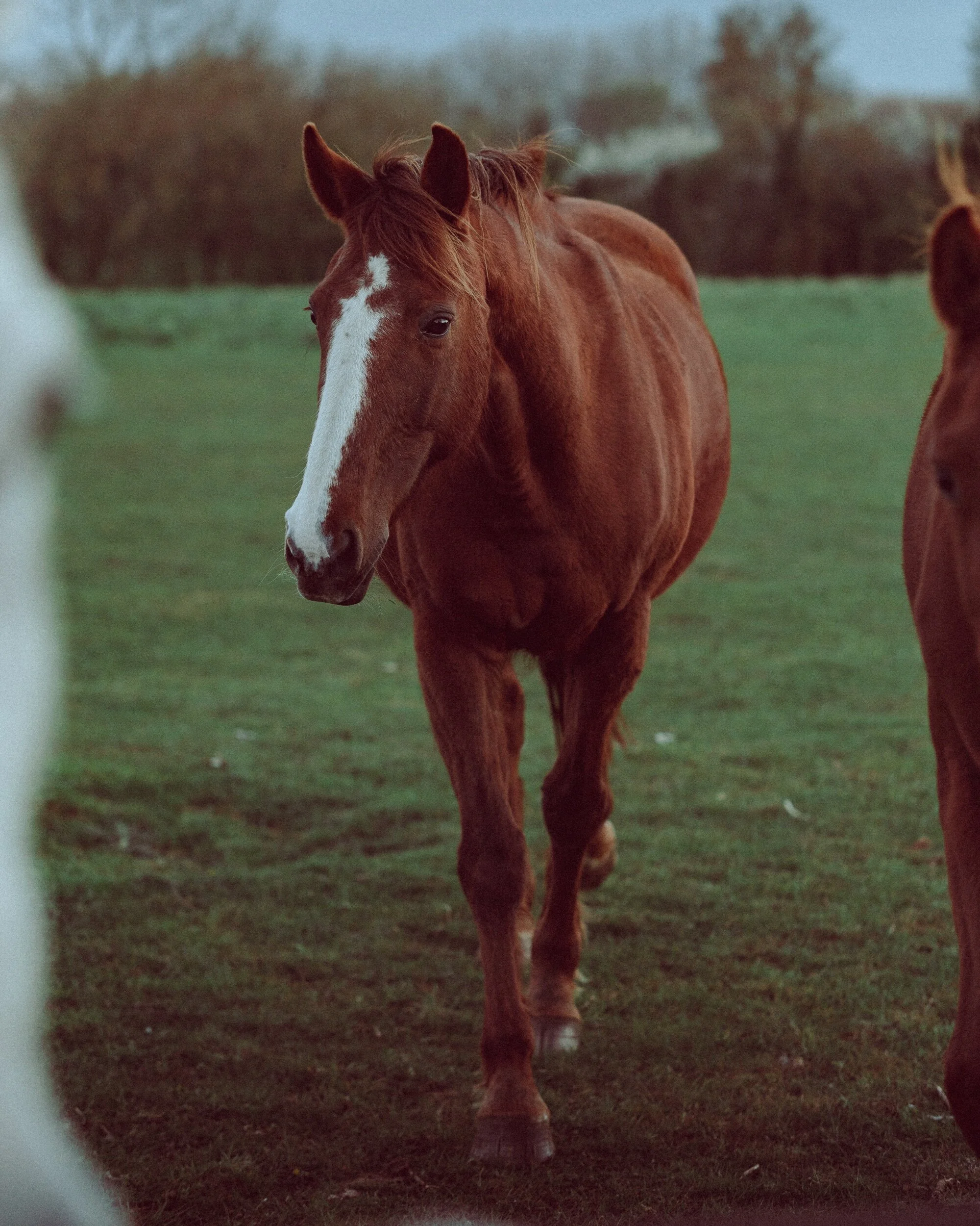 AFC1C764-AB5E-4FCD-BE89-914D52FCFA21