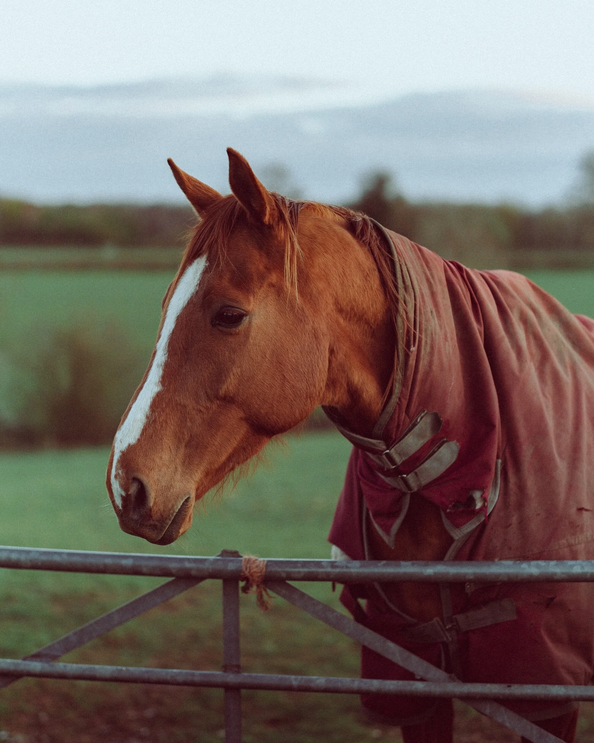 DFF50E90-9ACA-4D0C-99A1-96E6D603C4E2