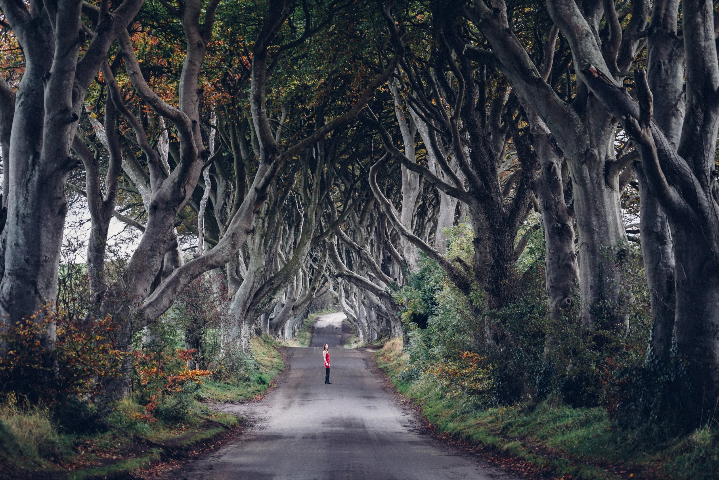 Photo 2015-10-28, 03 45 49.jpg