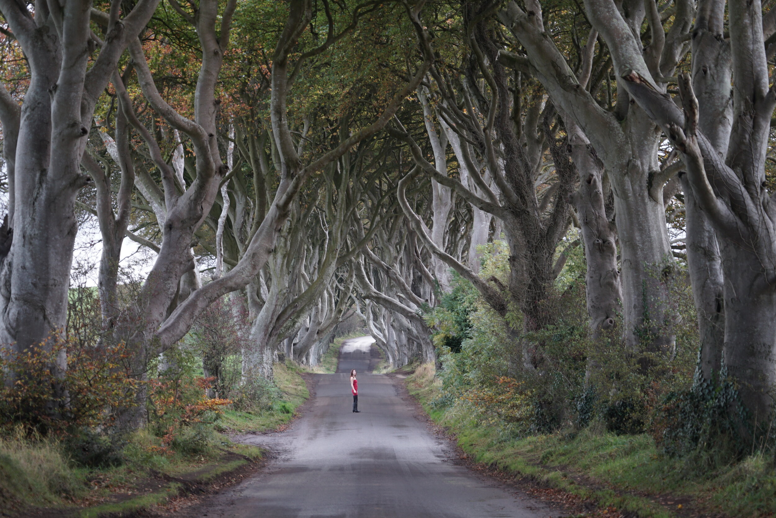 Photo 2015-10-28, 03 45 49.jpg