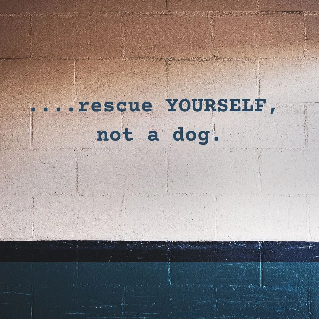Rescue YOURSELF, Not the Dog