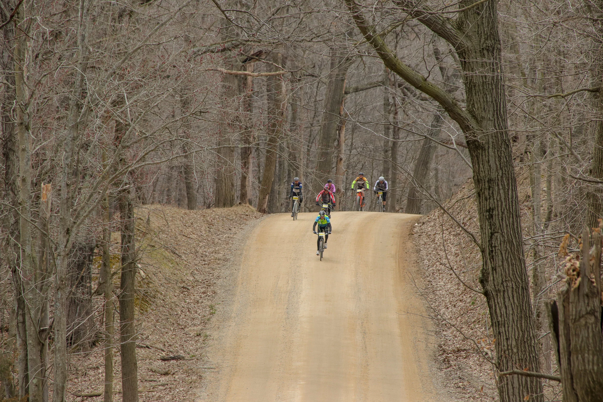 BRX 2019 NEWSLETTER #3