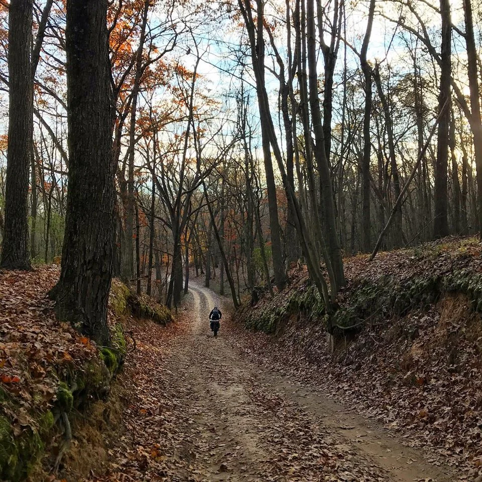 Panaracer Psycho - You up for it?