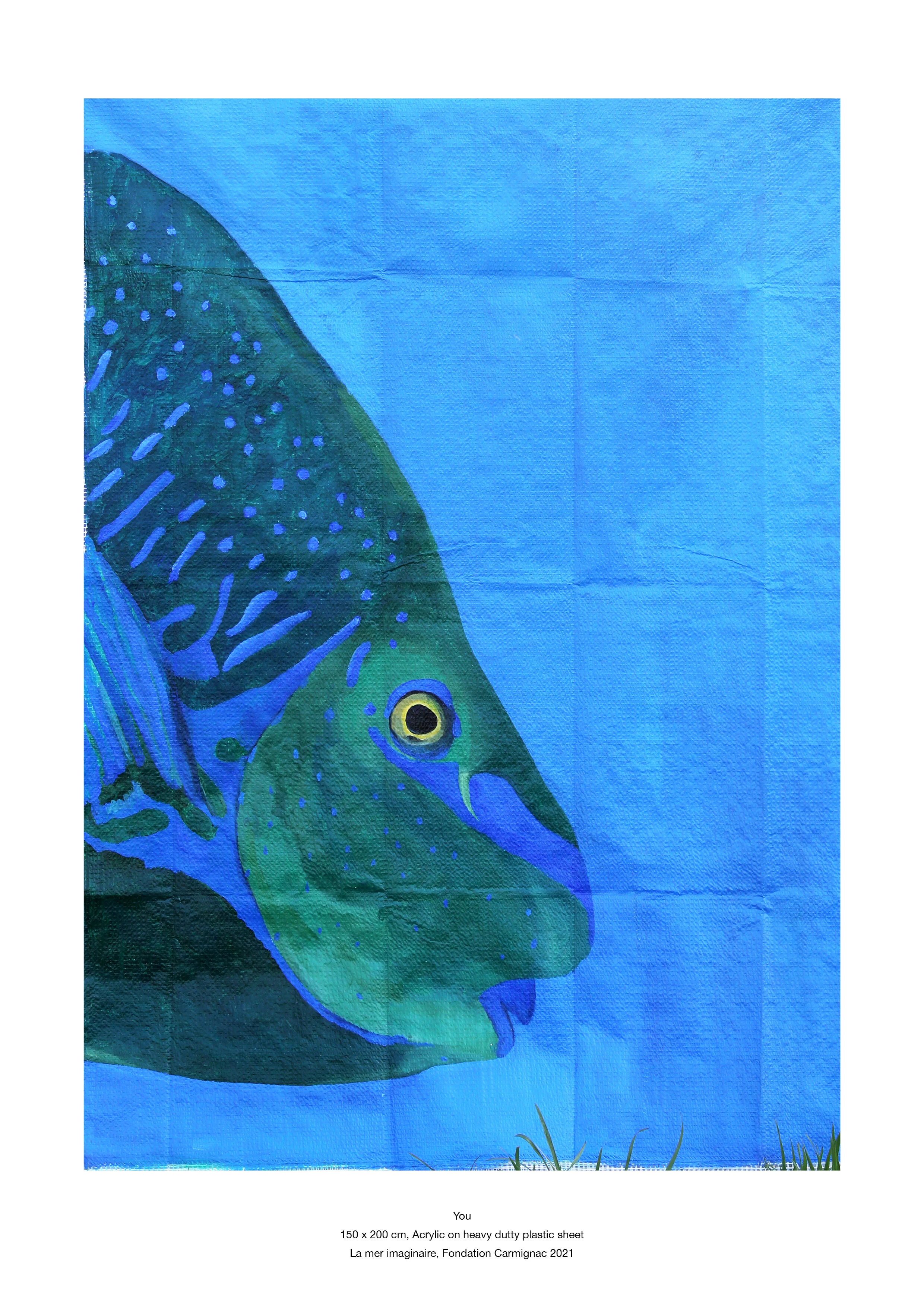 Frederique Barchelard_carmignac3.jpg