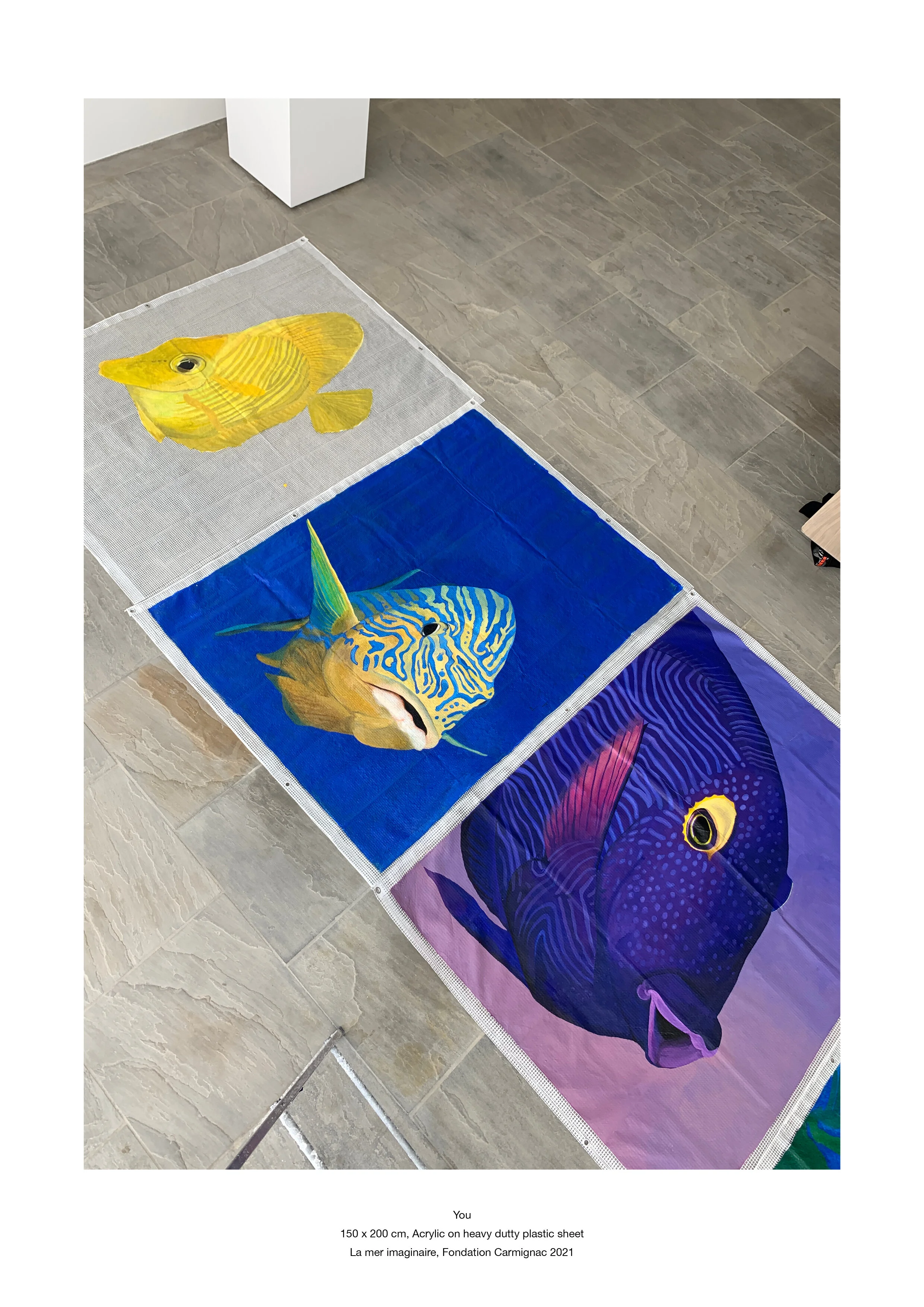 Frederique Barchelard_carmignac4.jpg