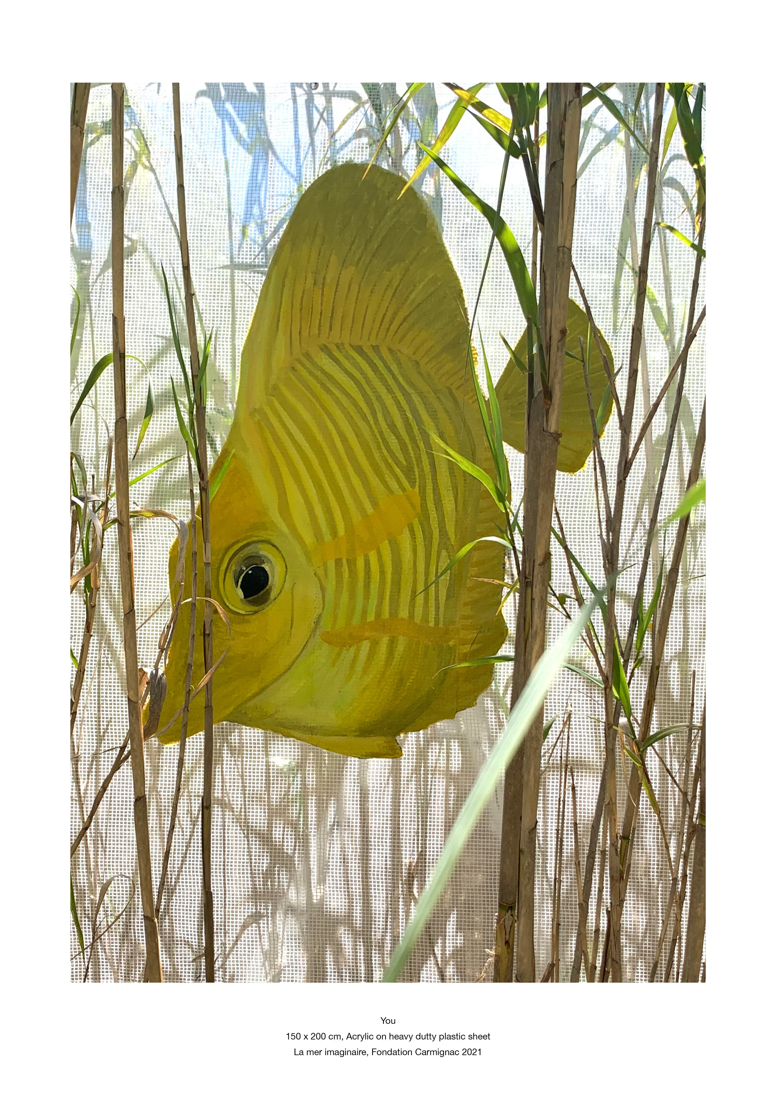 Frederique Barchelard_carmignac42.jpg