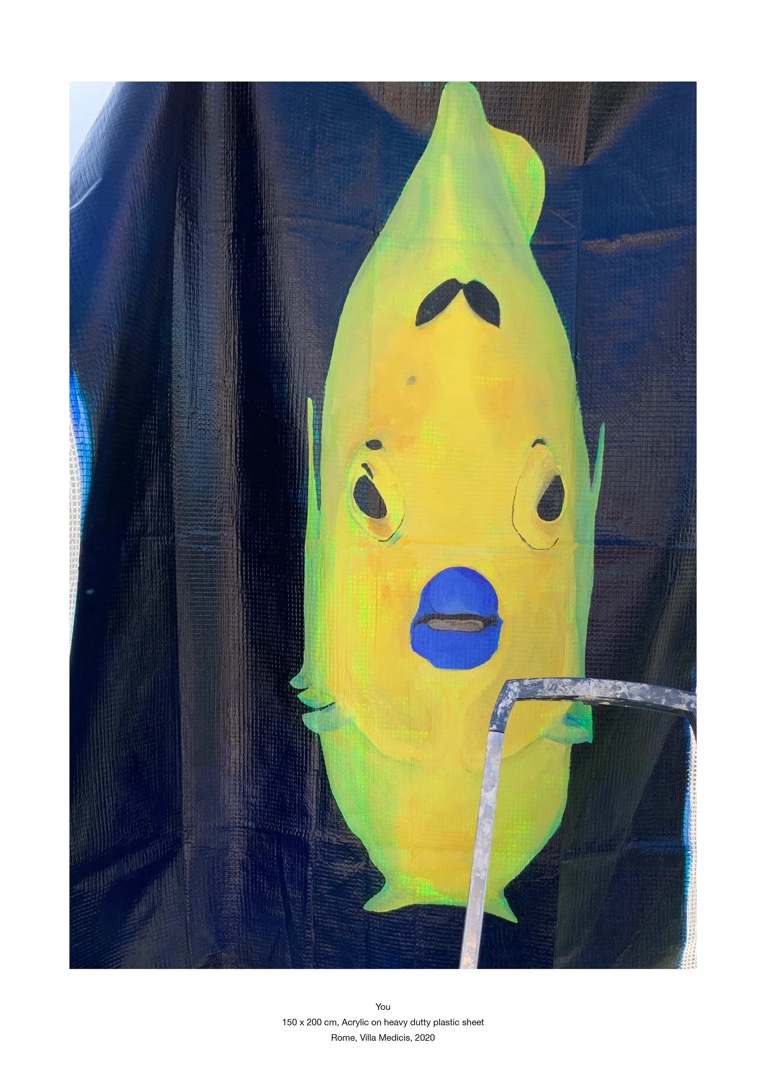 Frederique Barchelard_carmignac5.jpg