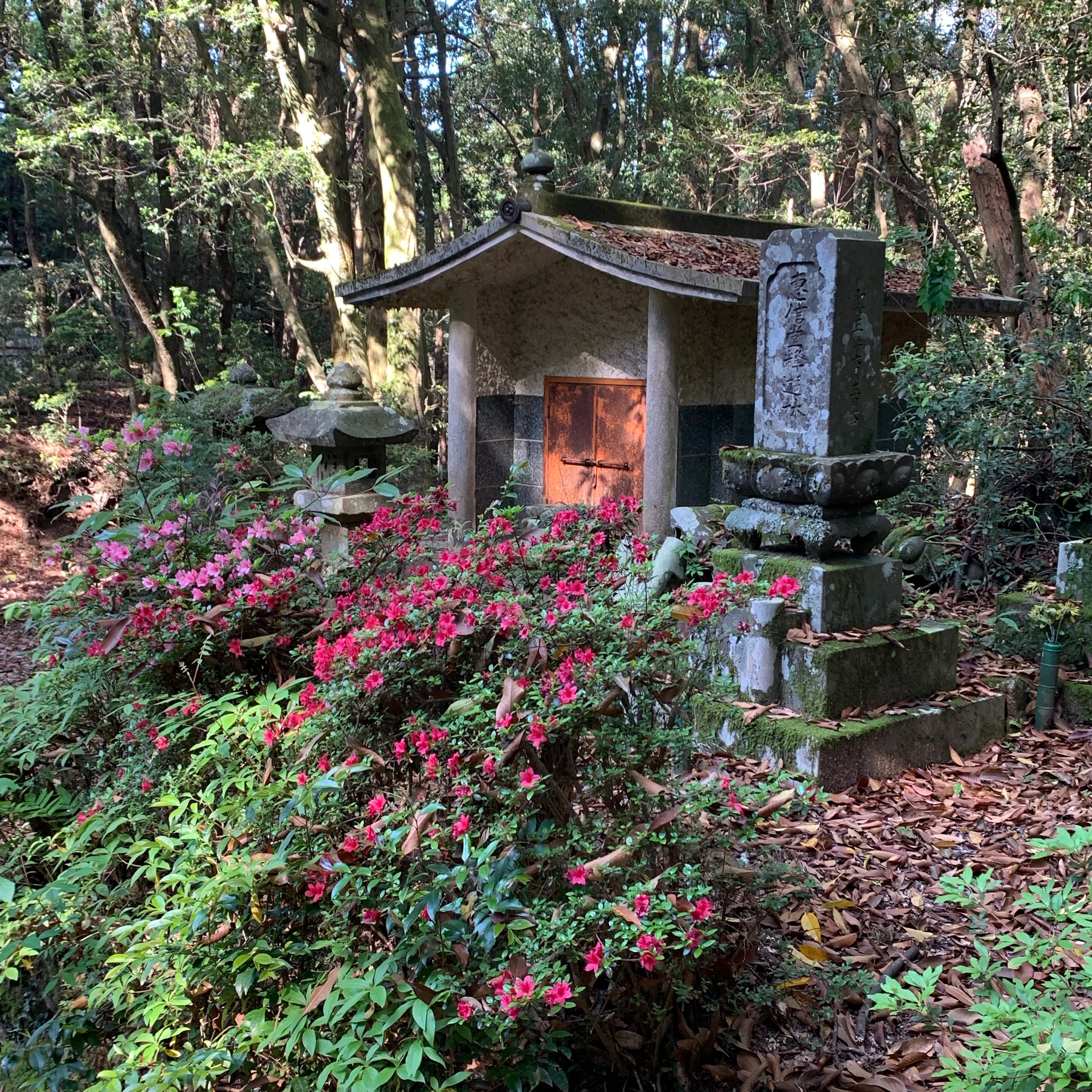 Day4_shrine_in_woods.jpeg