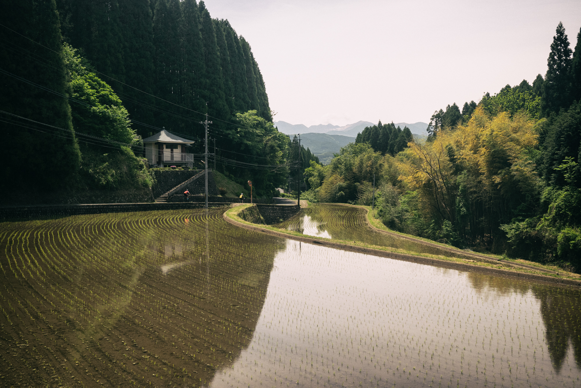 RAID_HITA-ASO-100.jpg