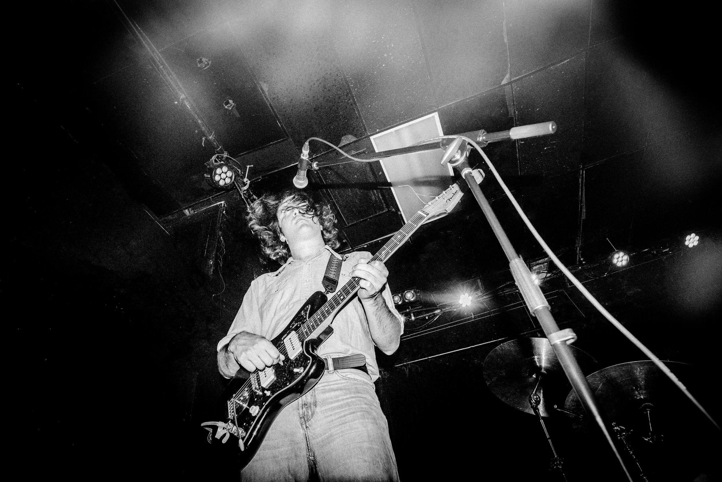 frankie 1upcloud (16).jpg