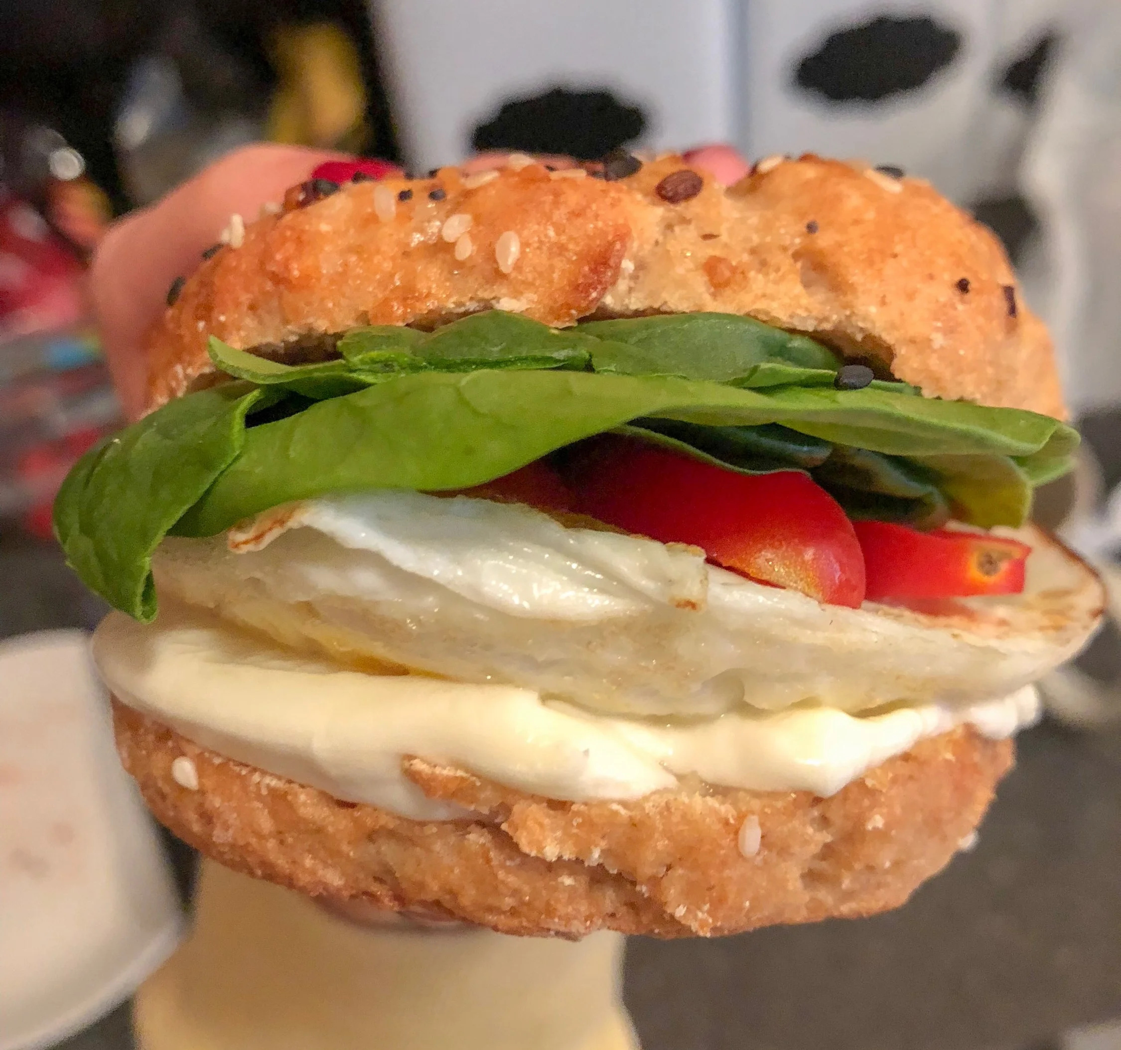 Pictured above: my breakfast sandwich- over medium egg, spinach, tomato, & mozzarella, sandwiched between a homemade everything bagel
