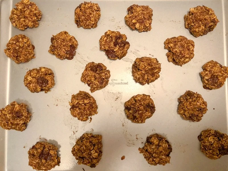 oat cookie.jpg