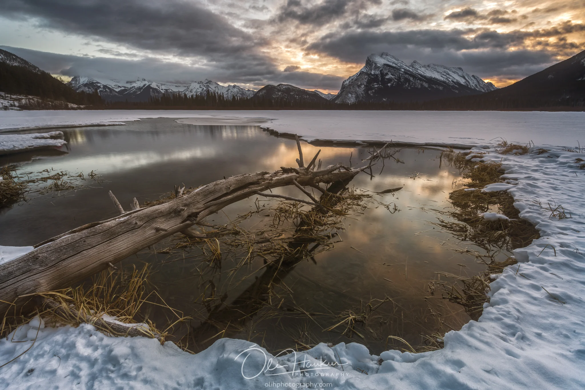 _41A6113-Edit.jpg