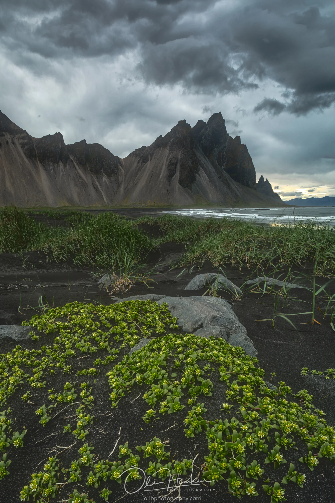 641A7011-Edit.jpg