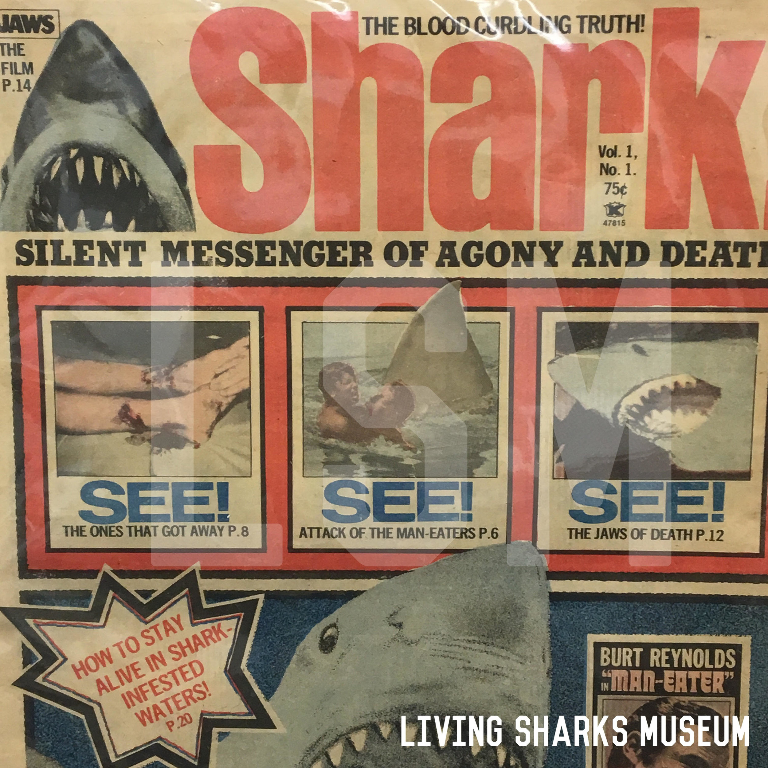 sharsploit-exploit-LSM.jpg