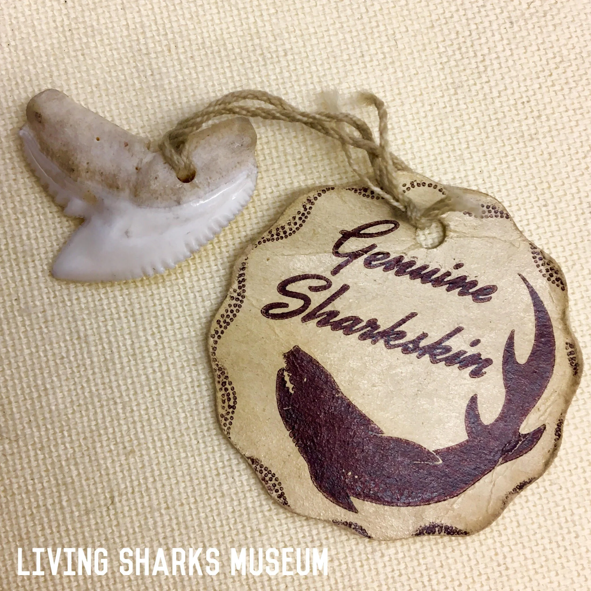 LSM-sharkskinlabel.jpg