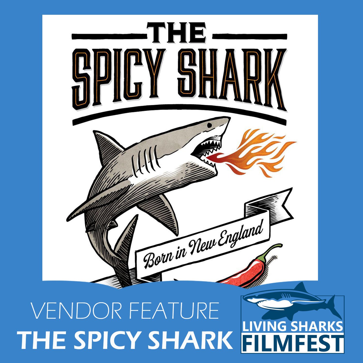 The Spicy Shark | Vendor Feature