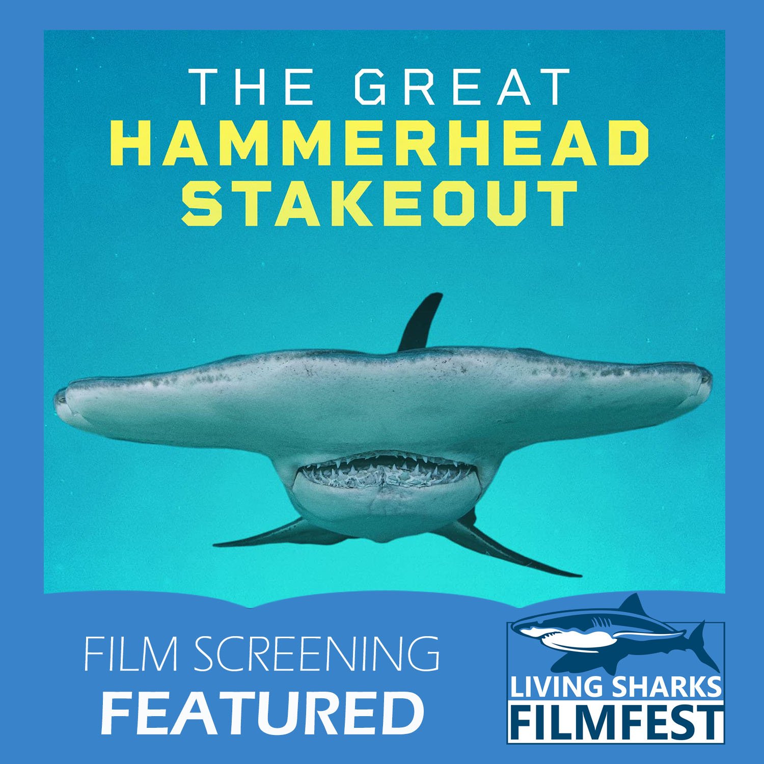 Great Hammerhead Stakeout | Screening