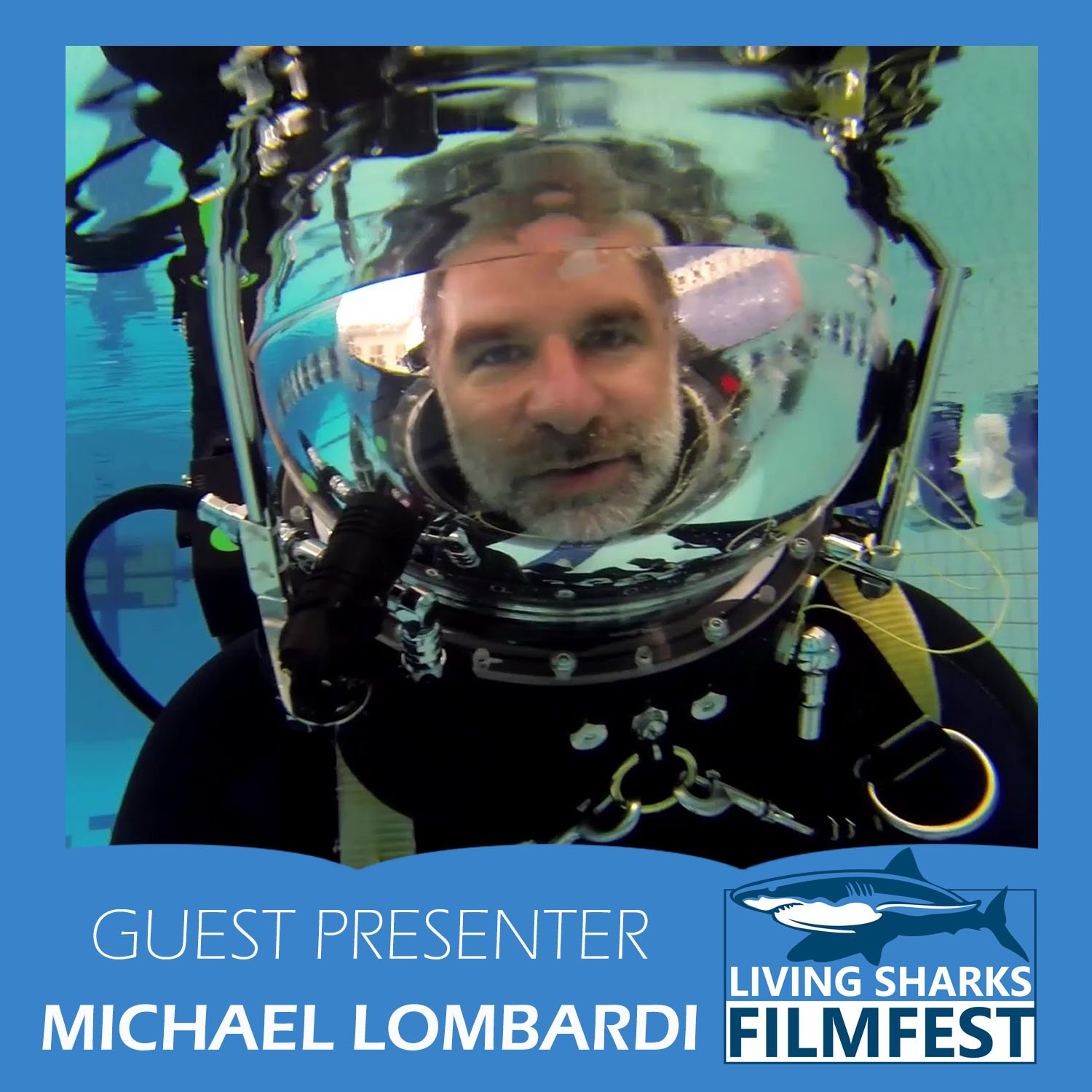 Michael Lombardi | Great Hammerhead Stakeout
