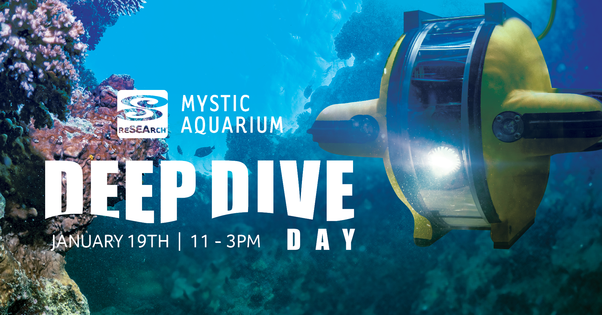 Deep Dive Day at Mystic Aquarium