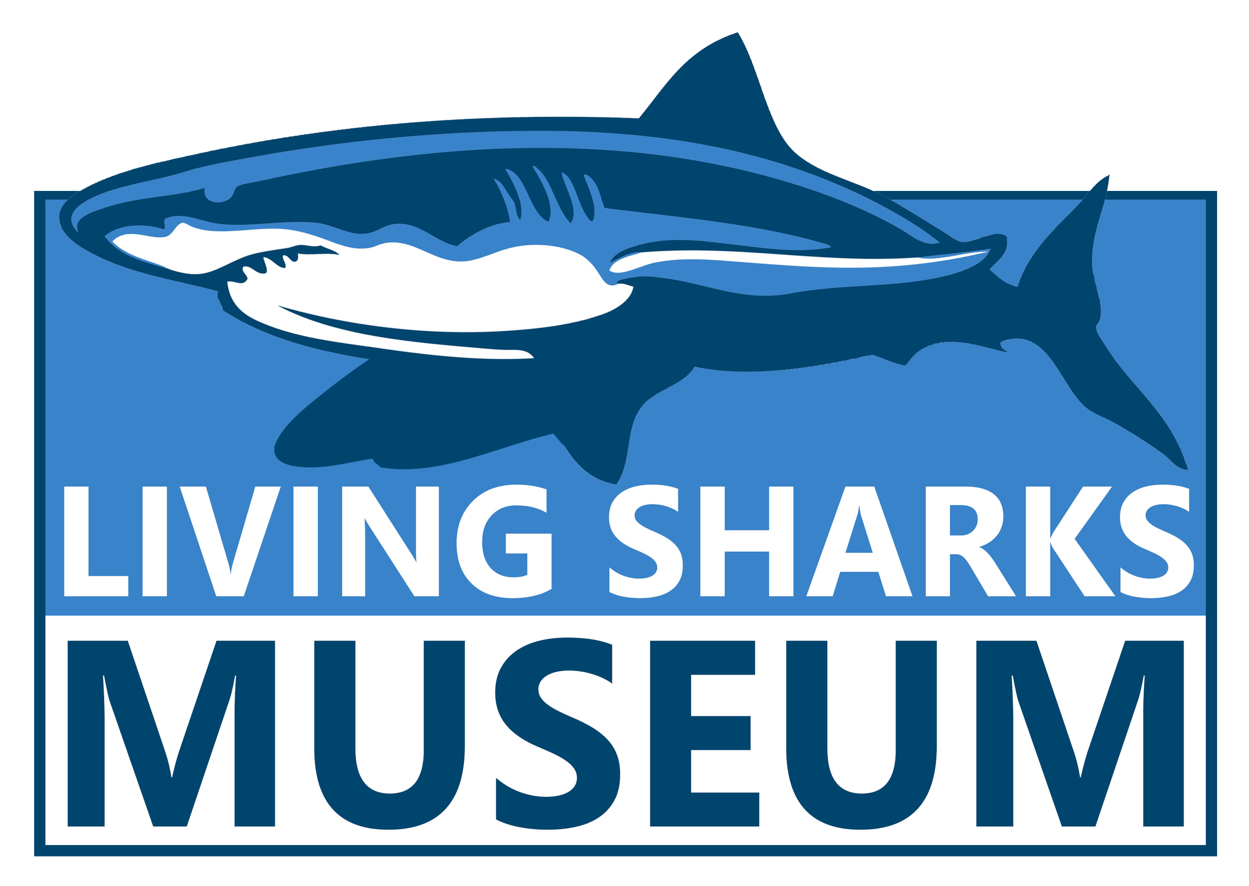 Living Sharks Museum