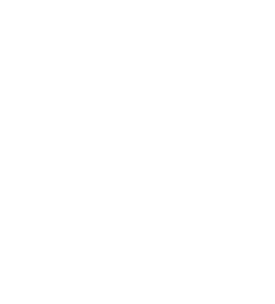 Holistic Counseling of Madison png Logo